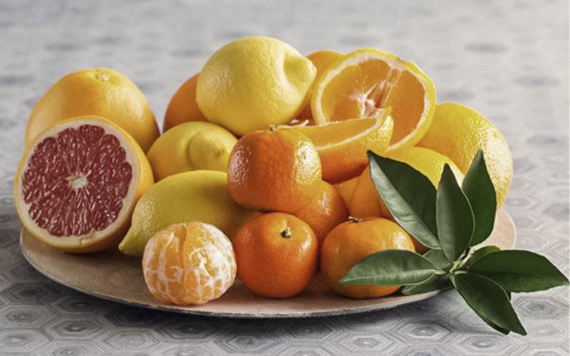 Consumo de citrinos pode diminuir incidência de demência