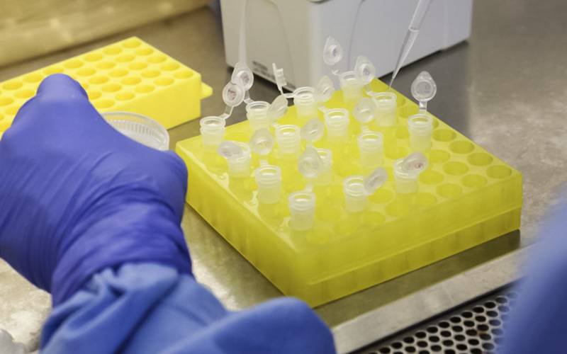 FDA aprova ensaio clínico com células-tronco para tratar COVID-19