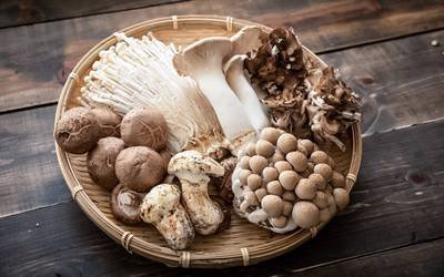 Benefícios dos cogumelos para a saúde variam em função da espécie