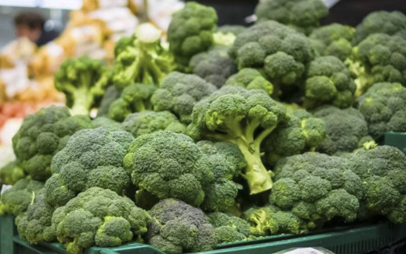 Brócolos podem contribuir para fortalecer imunidade