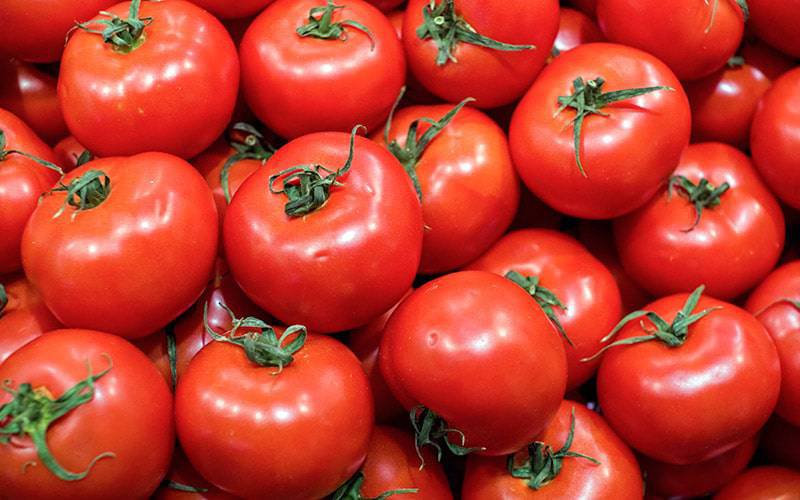 Compostos do tomate são fundamentais para saúde cardiovascular