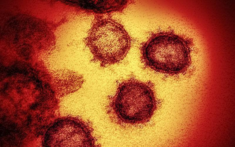 INSA já identificou mais de 150 mutações do novo coronavírus