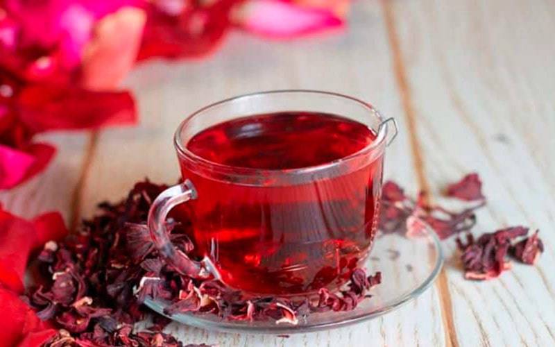 Chá de hibisco fornece vários benefícios para a saúde