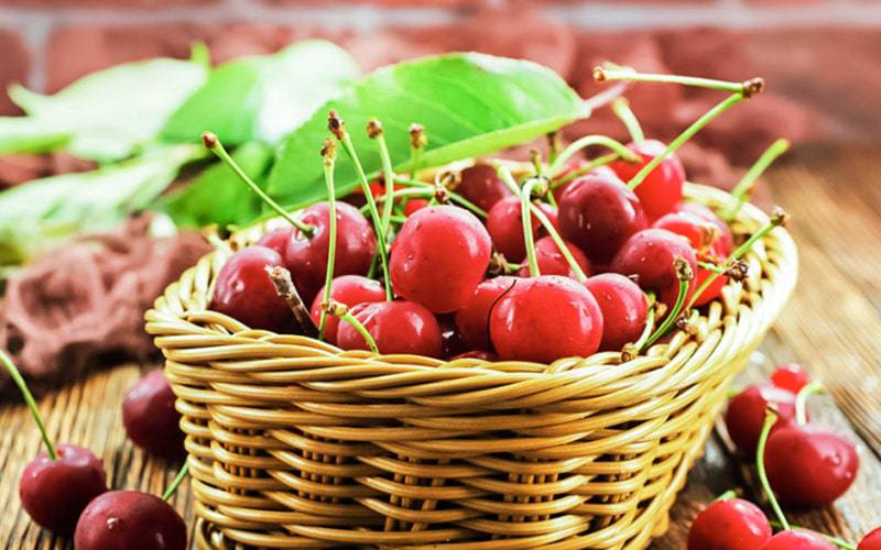 Consumo de cerejas pode diminuir risco de cancro