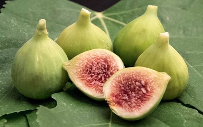 Consumo de figo promove saúde digestiva