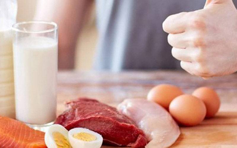 Consumo de proteína e fibra promove perda de peso