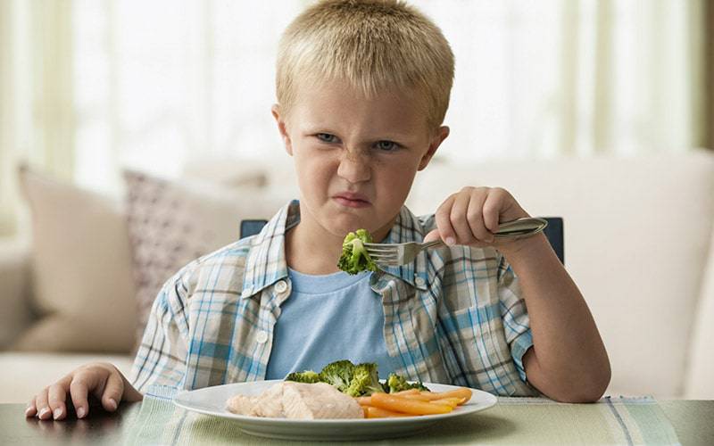 Temperamento afeta hábitos alimentares infantis