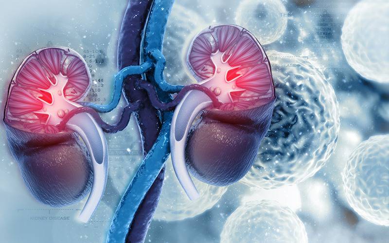 Aprovada expansão de Canagliflozina para doença renal diabética