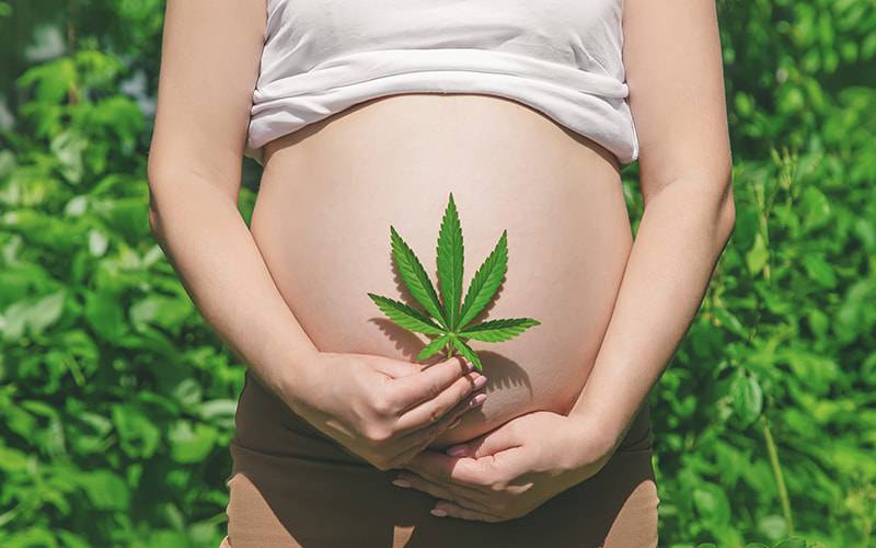 Cannabis na gravidez associada a distúrbios do sono nas crianças