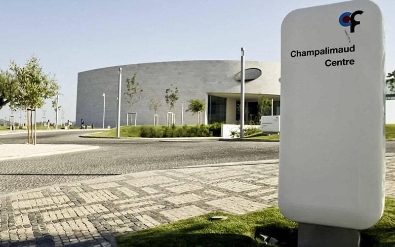 Centro Champalimaud une-se a projeto para monitorizar olfato