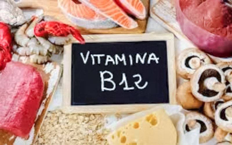 Conheça os principais alimentos ricos em vitamina B12