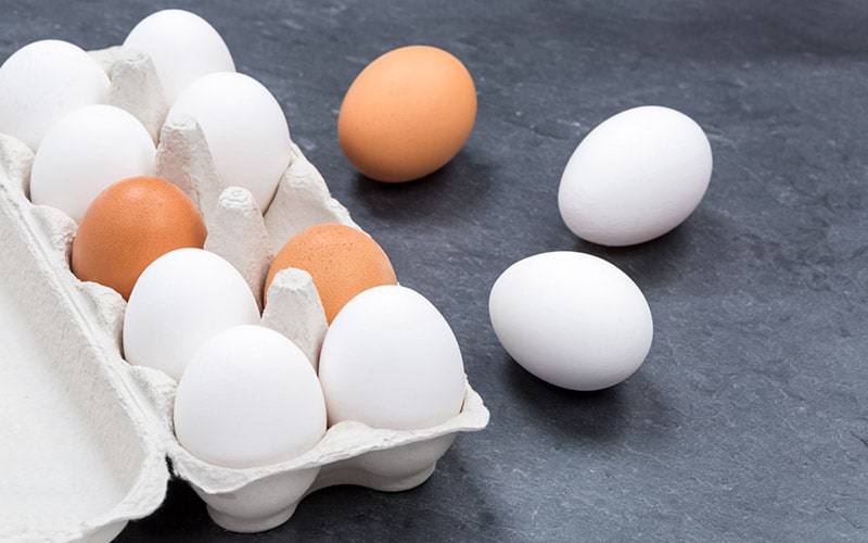 Descubra o que acontece ao seu corpo quando come ovos