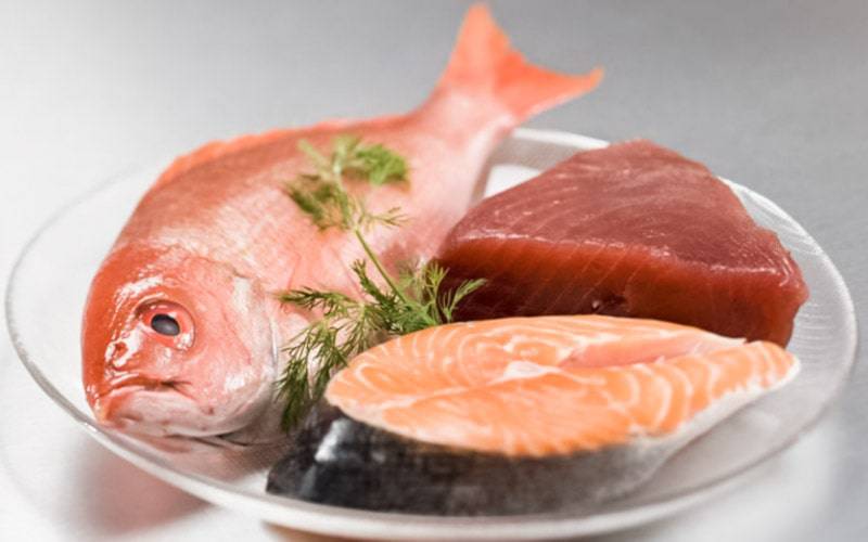 Peixes gordos promovem boa saúde oral