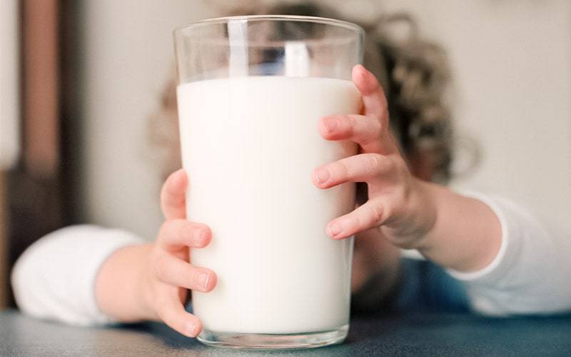 Relatório alerta que leites vegan são “inadequados” para crianças