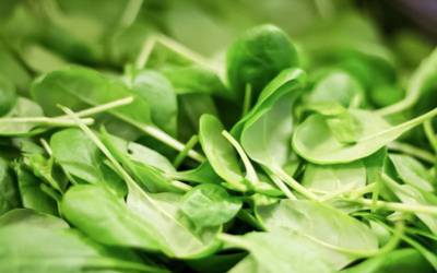 Espinafres são dos alimentos com mais resíduos de pesticidas