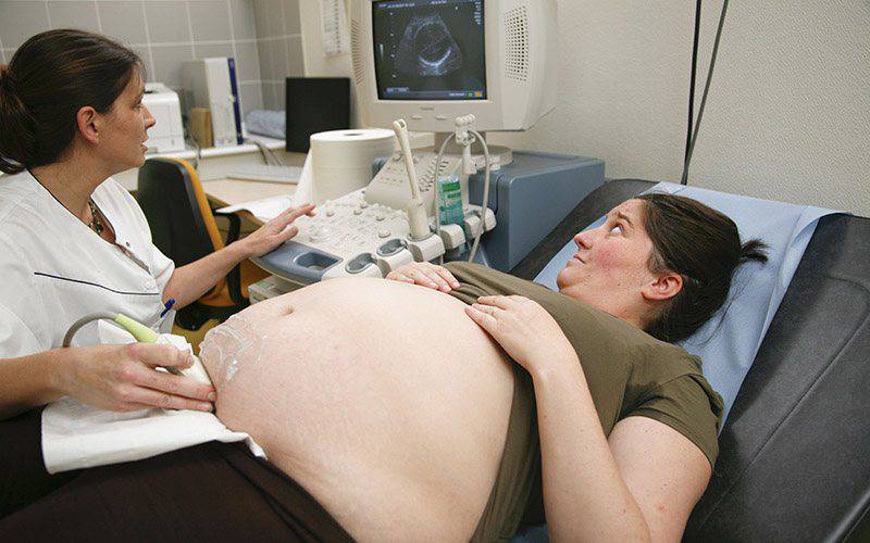 Excesso de peso na gravidez afeta saúde da prole