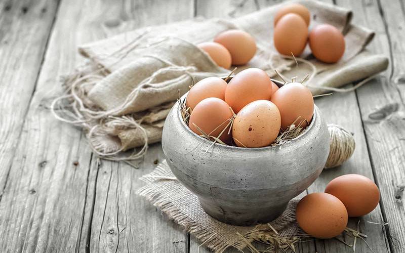 Ovos promovem saúde cerebral