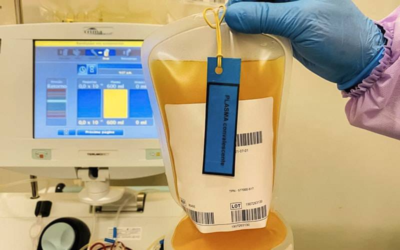 Ensaios de plasma sanguíneo convalescente já têm 700 dadores