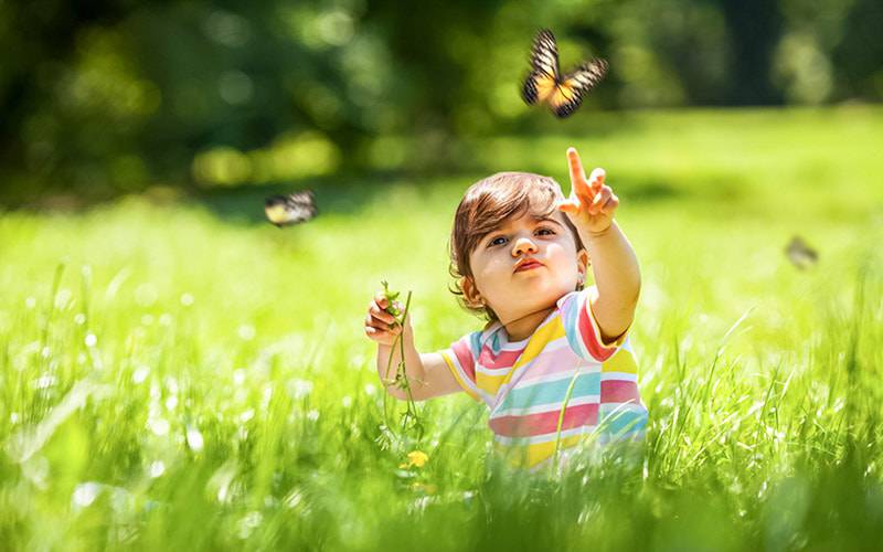Espaços verdes previnem asma e rinite alérgica em crianças