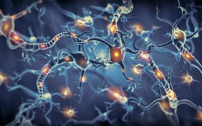 Neurónios criados em laboratório podem ser integrados no cérebro