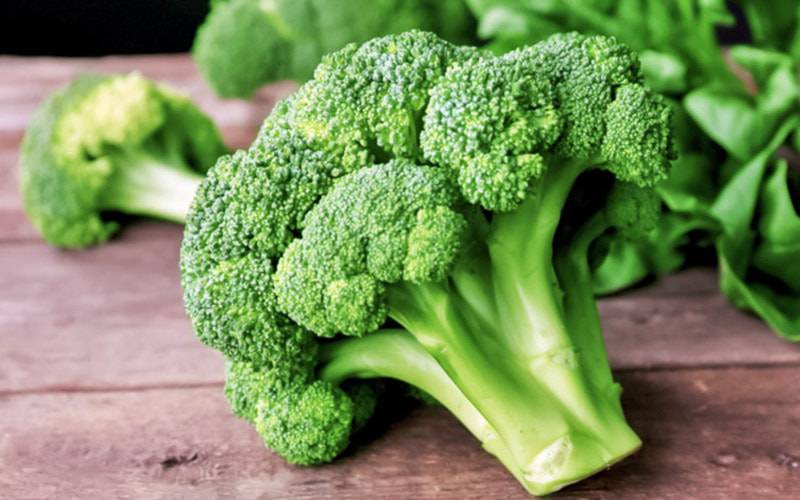 Vitamina K presente nos brócolos beneficia saúde cerebral