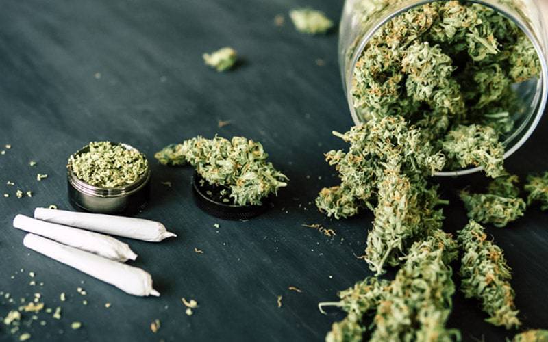 Cannabis reduz sintomas de transtorno obsessivo-compulsivo