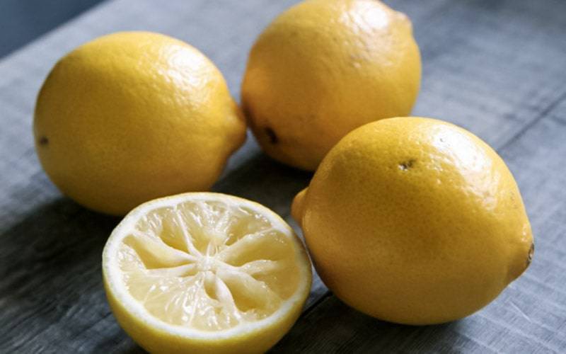 Compostos do limão podem ter propriedades anticancerígenas