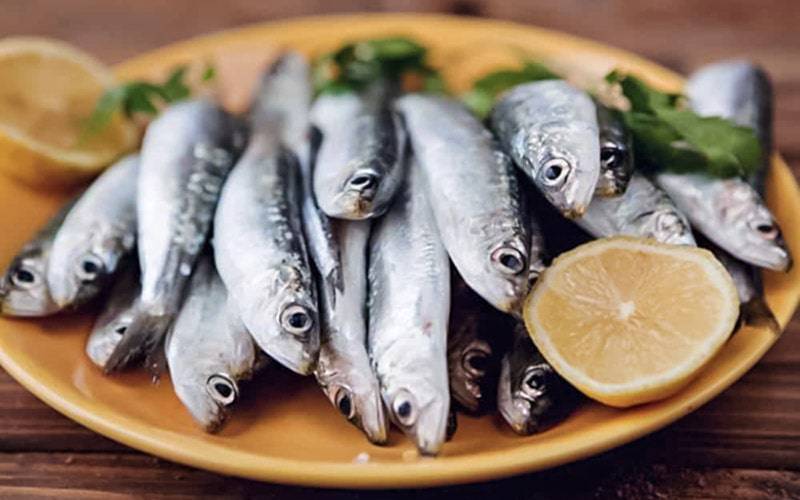 Consumir peixe fornece níveis saudáveis de ácidos gordos ómega-3