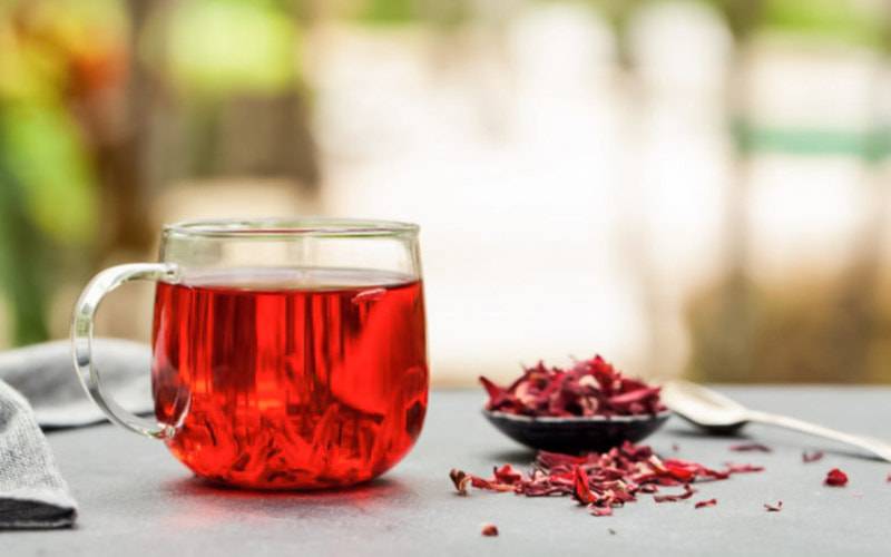 Chá de hibisco pode reduzir níveis de colesterol