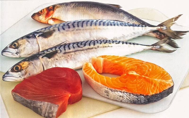 Peixes gordos previnem desenvolvimento de asma