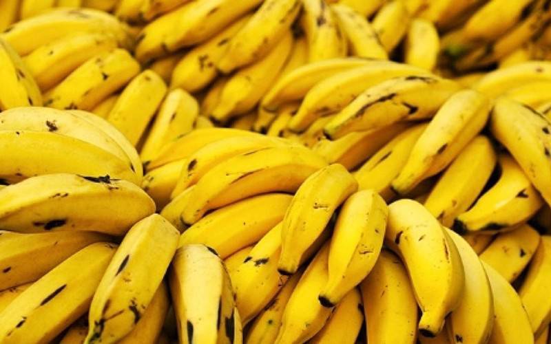 Bananas podem prevenir aparecimento de cancro