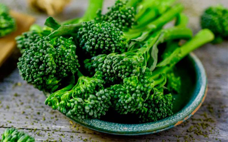 Brócolos podem reduzir pressão arterial