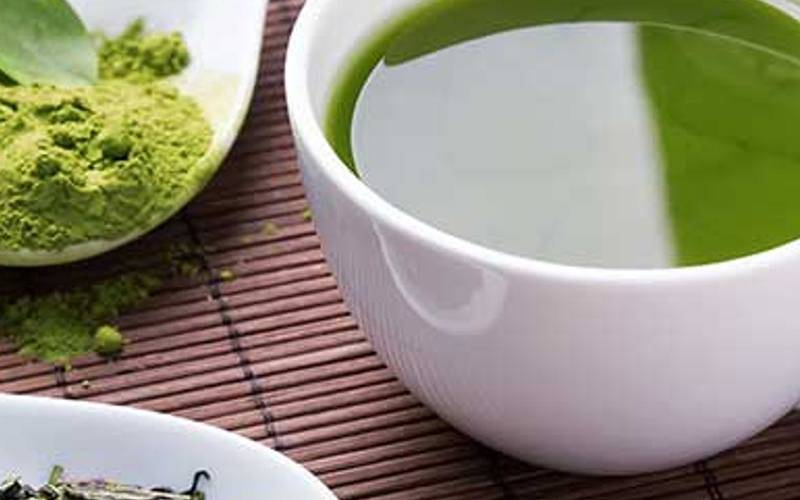 Chá verde beneficia saúde óssea