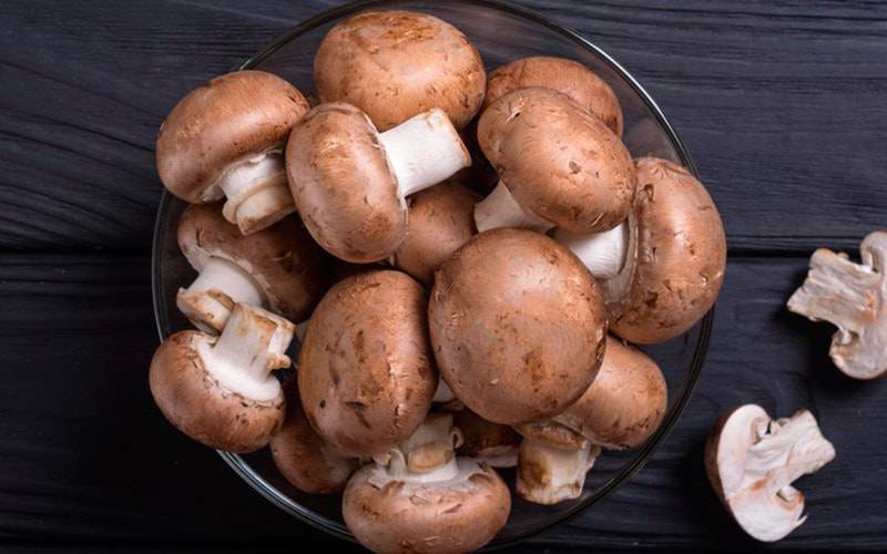 Cogumelos podem promover saúde cardiovascular
