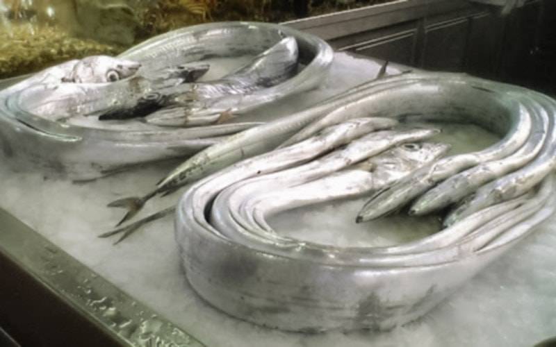 Consumo de peixe-espada não é aconselhado a grávidas