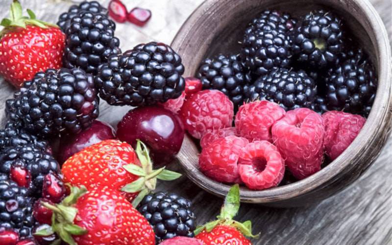 Frutos vermelhos podem prevenir doença de Parkinson