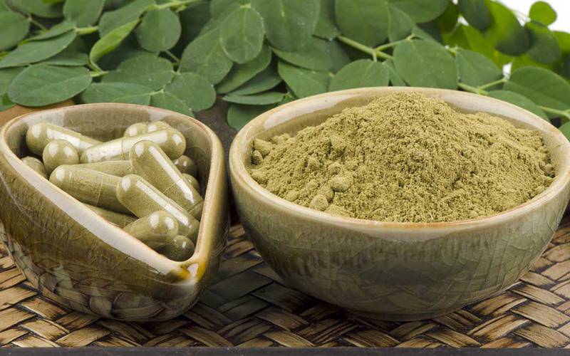 Moringa tem altas concentrações de antioxidantes