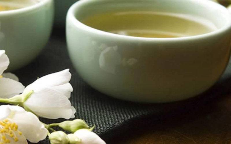 Beber chá branco promove perda de peso e saúde oral