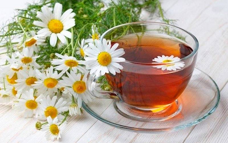 Chá de camomila aumenta proteção imunitária