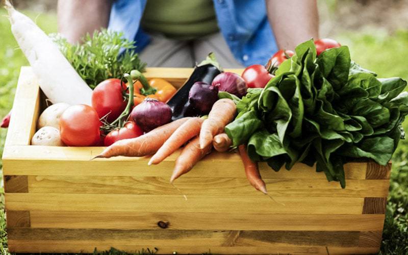 Dieta à base de vegetais ajuda na prevenção da diabetes