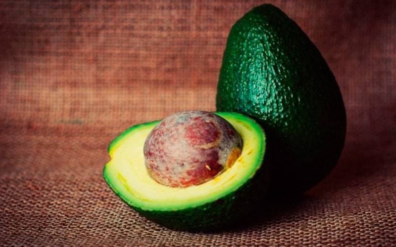 Ingestão diária de um abacate pode melhorar a saúde intestinal