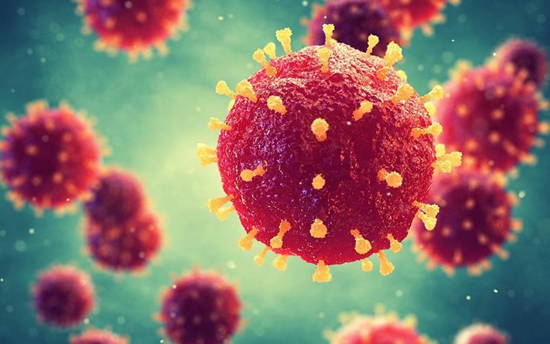 Nova estirpe do coronavírus não provoca doença mais grave
