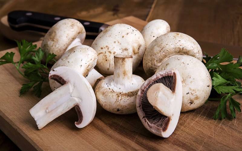 Cogumelos aumentam níveis de vários nutrientes essenciais