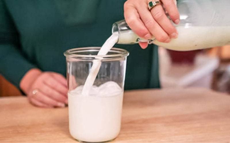 Consumo excessivo de leite pode aumentar resistência à insulina