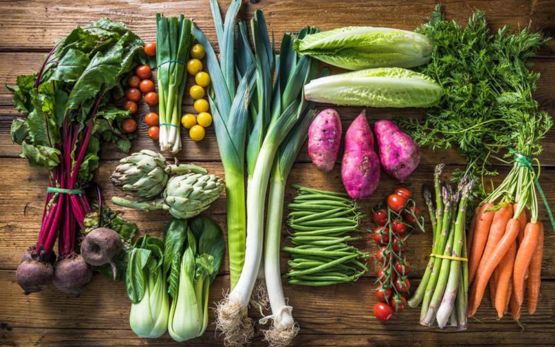 Dietas à base de vegetais melhoram função cognitiva