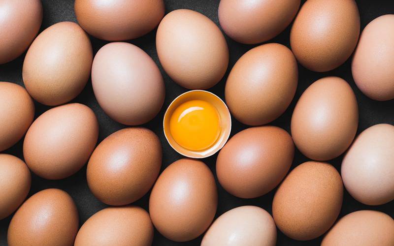 Ovos promovem aumento de níveis de energia