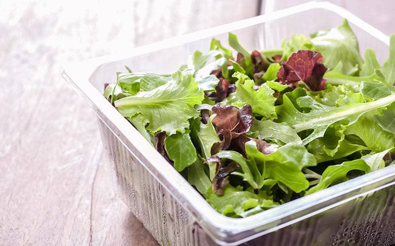 Saladas pré-preparadas podem conter salmonelas