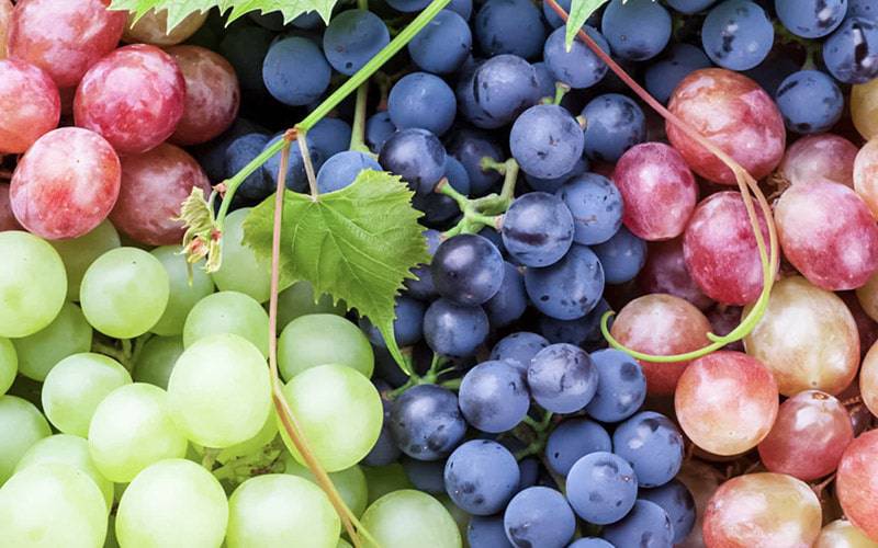 Uva é rica em vitamina c e cobre