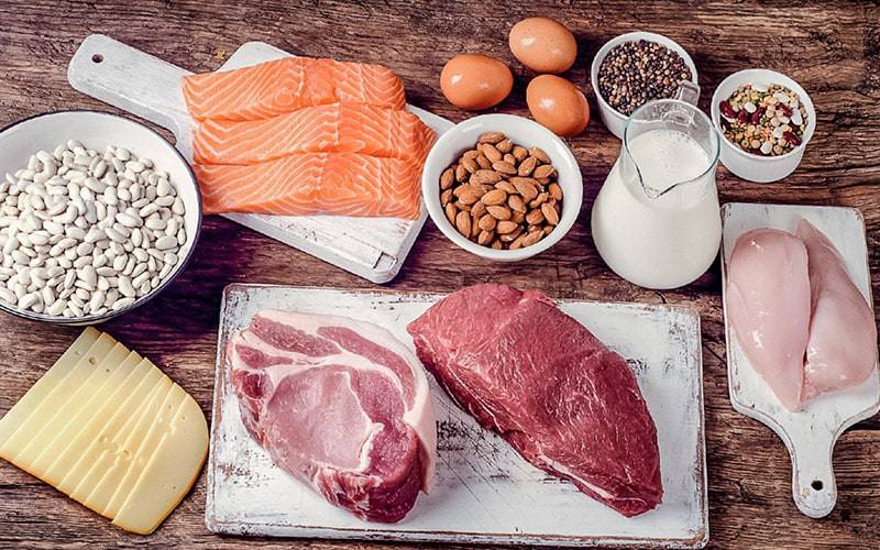 Aumentar ingestão de proteína só beneficia quem quer perder peso