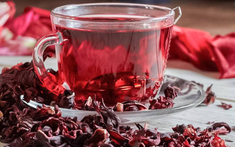 Chá de hibisco ajuda a normalizar pressão arterial